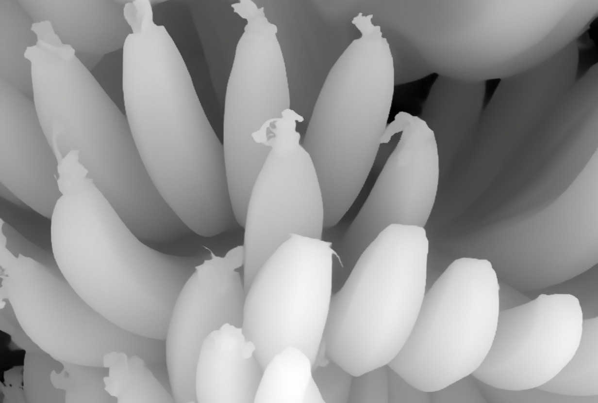 Output Image