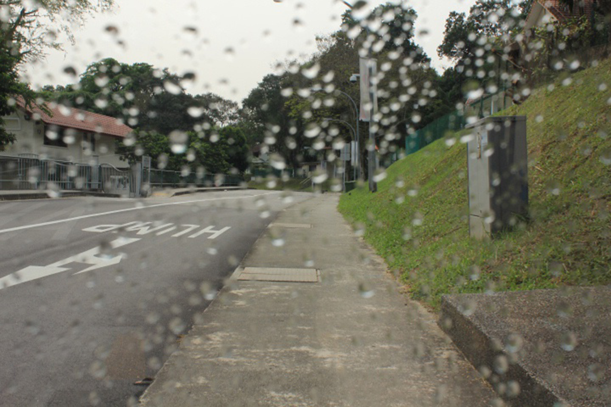 Input Image